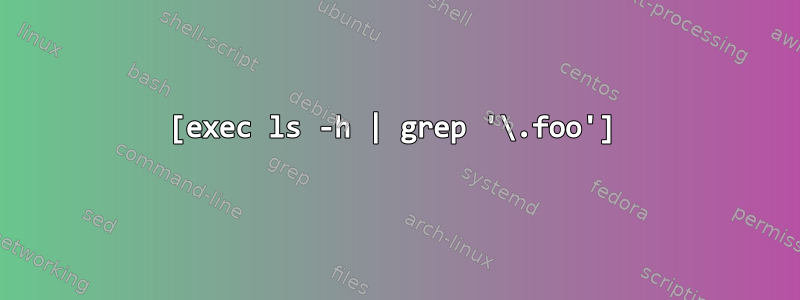 [exec ls -h | grep '\.foo']