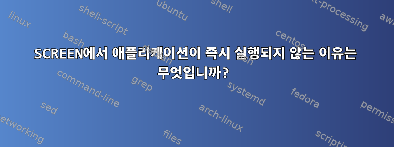 SCREEN에서 애플리케이션이 즉시 실행되지 않는 이유는 무엇입니까?