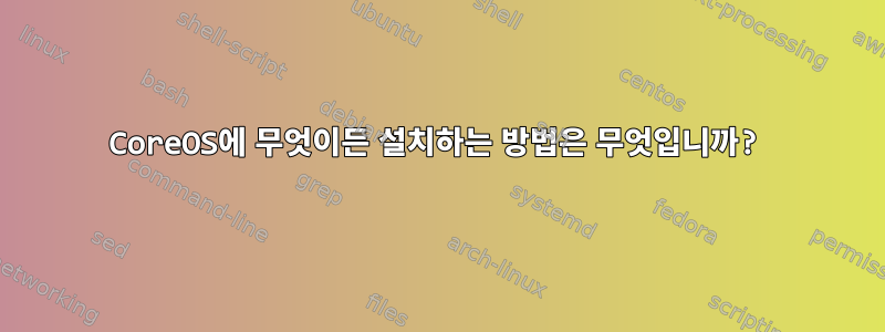 CoreOS에 무엇이든 설치하는 방법은 무엇입니까?