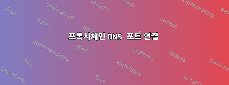 프록시체인 DNS 포트 연결