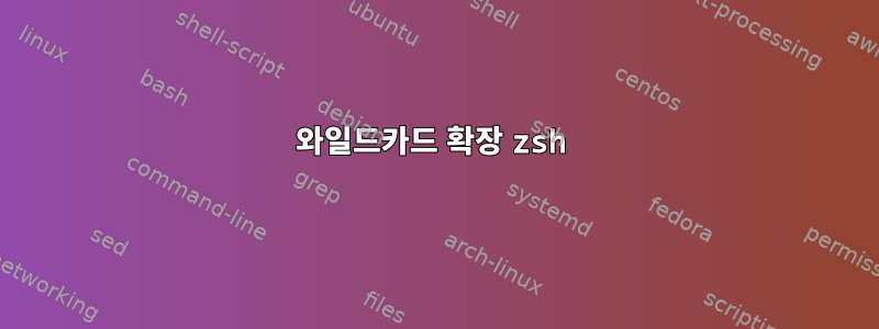 와일드카드 확장 zsh