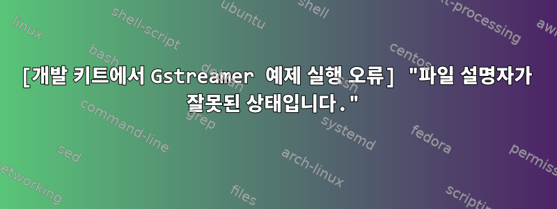 [개발 키트에서 Gstreamer 예제 실행 오류] "파일 설명자가 잘못된 상태입니다."