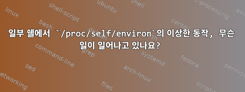 일부 쉘에서 `/proc/self/environ`의 이상한 동작, 무슨 일이 일어나고 있나요?