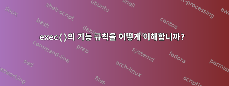 exec()의 기능 규칙을 어떻게 이해합니까?