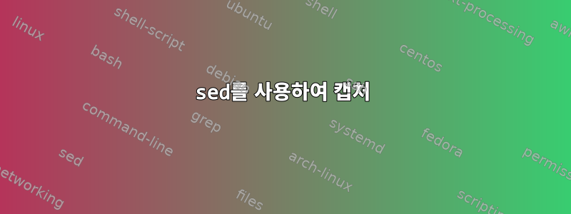 sed를 사용하여 캡처