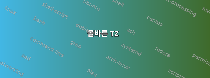 올바른 TZ