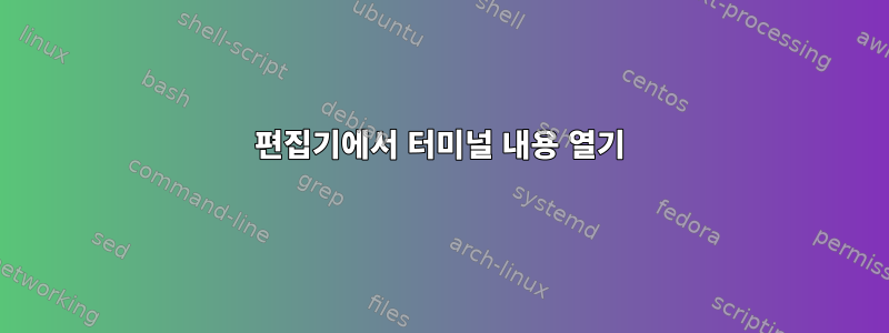 편집기에서 터미널 내용 열기