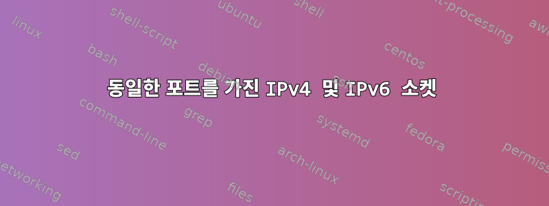 동일한 포트를 가진 IPv4 및 IPv6 소켓