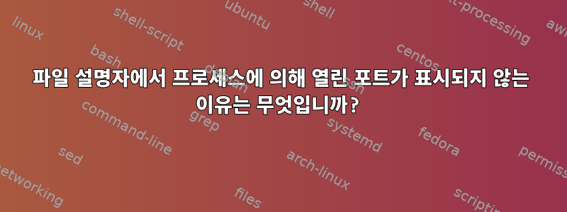 파일 설명자에서 프로세스에 의해 열린 포트가 표시되지 않는 이유는 무엇입니까?