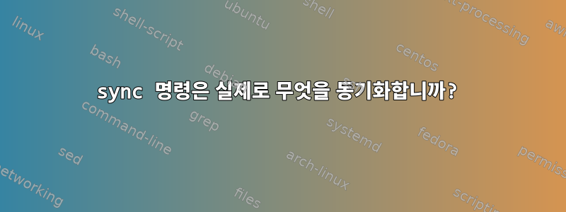 sync 명령은 실제로 무엇을 동기화합니까?