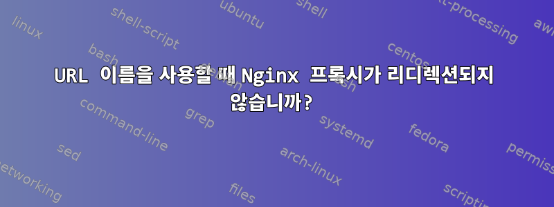 URL 이름을 사용할 때 Nginx 프록시가 리디렉션되지 않습니까?