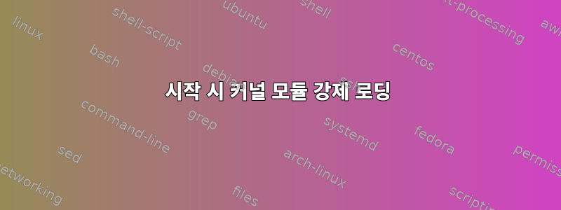 시작 시 커널 모듈 강제 로딩