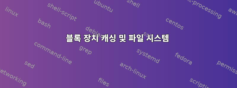 블록 장치 캐싱 및 파일 시스템