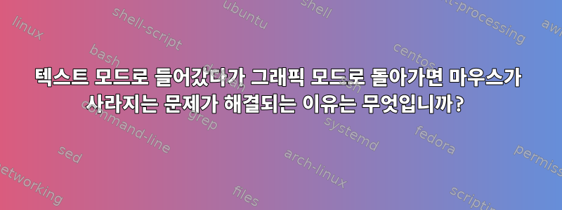 텍스트 모드로 들어갔다가 그래픽 모드로 돌아가면 마우스가 사라지는 문제가 해결되는 이유는 무엇입니까?