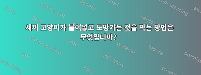 새끼 고양이가 붙여넣고 도망가는 것을 막는 방법은 무엇입니까?