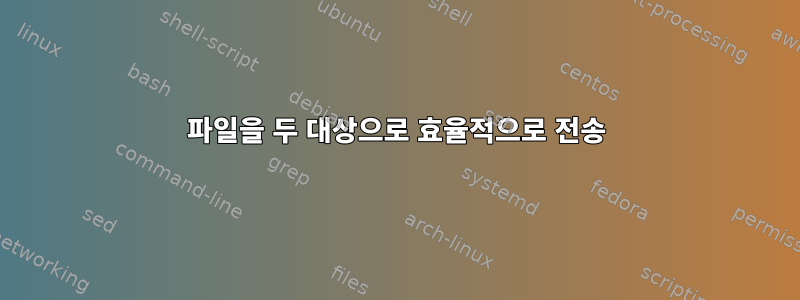 파일을 두 대상으로 효율적으로 전송