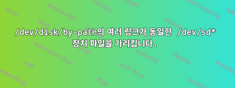 /dev/disk/by-path의 여러 링크가 동일한 /dev/sd* 장치 파일을 가리킵니다.