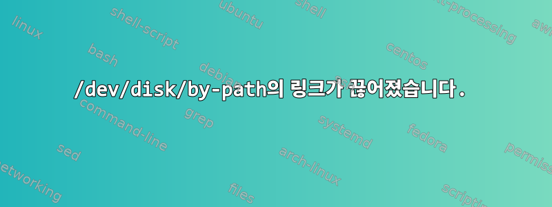 /dev/disk/by-path의 링크가 끊어졌습니다.