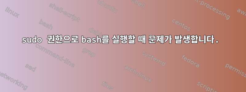 sudo 권한으로 bash를 실행할 때 문제가 발생합니다.