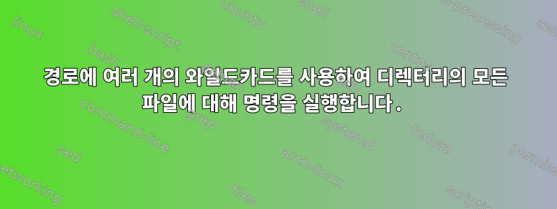 경로에 여러 개의 와일드카드를 사용하여 디렉터리의 모든 파일에 대해 명령을 실행합니다.