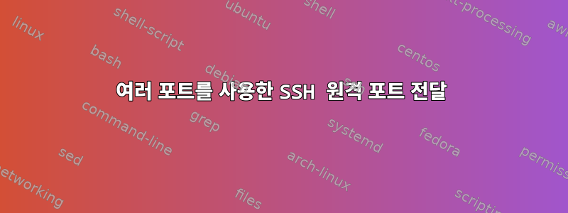 여러 포트를 사용한 SSH 원격 포트 전달