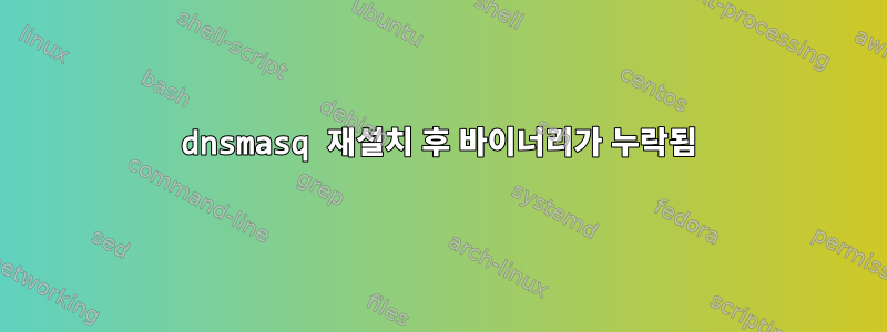 dnsmasq 재설치 후 바이너리가 누락됨