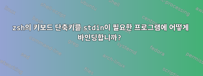 zsh의 키보드 단축키를 stdin이 필요한 프로그램에 어떻게 바인딩합니까?