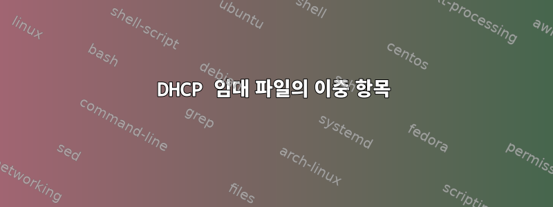 DHCP 임대 파일의 이중 항목