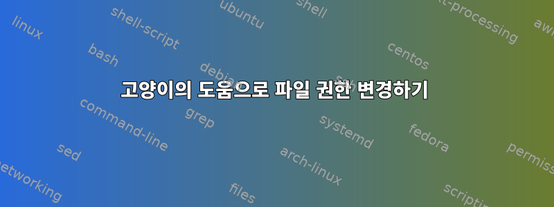 고양이의 도움으로 파일 권한 변경하기