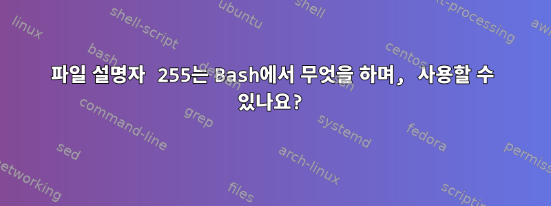 파일 설명자 255는 Bash에서 무엇을 하며, 사용할 수 있나요?