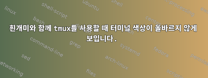 흰개미와 함께 tmux를 사용할 때 터미널 색상이 올바르지 않게 보입니다.