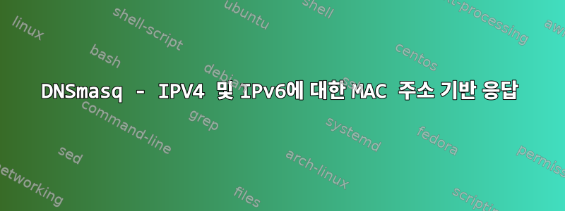 DNSmasq - IPV4 및 IPv6에 대한 MAC 주소 기반 응답