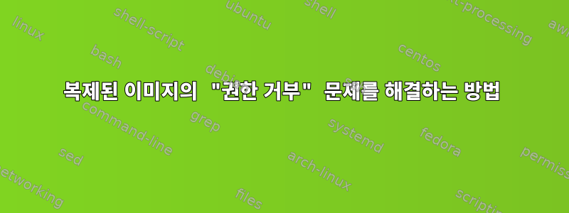 복제된 이미지의 "권한 거부" 문제를 해결하는 방법