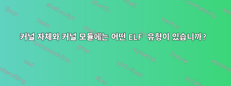 커널 자체와 커널 모듈에는 어떤 ELF 유형이 있습니까?