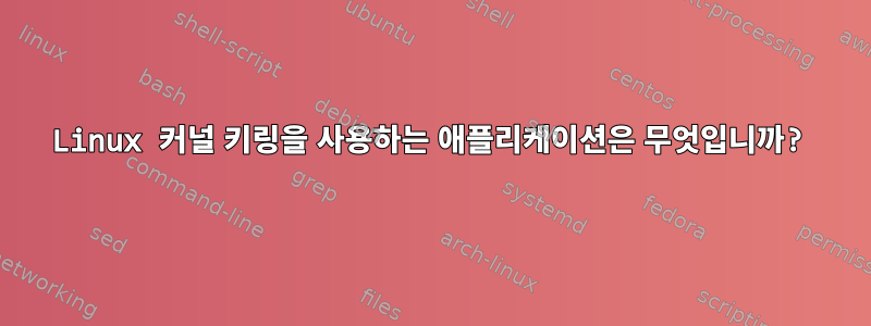 Linux 커널 키링을 사용하는 애플리케이션은 무엇입니까?