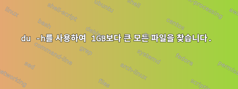 du -h를 사용하여 1GB보다 큰 모든 파일을 찾습니다.