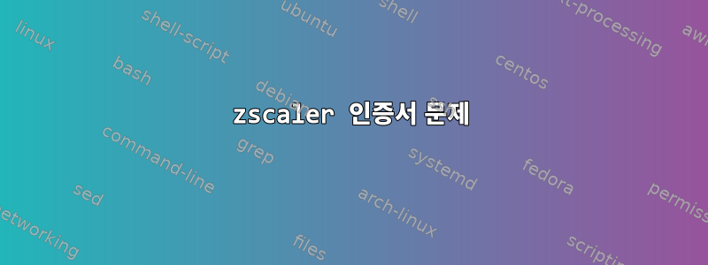 zscaler 인증서 문제