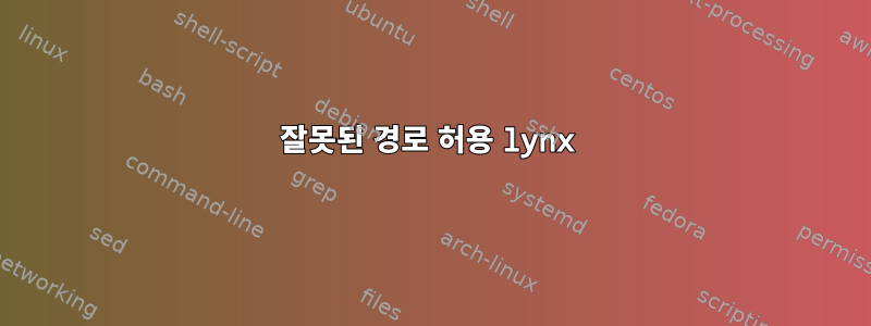 잘못된 경로 허용 lynx