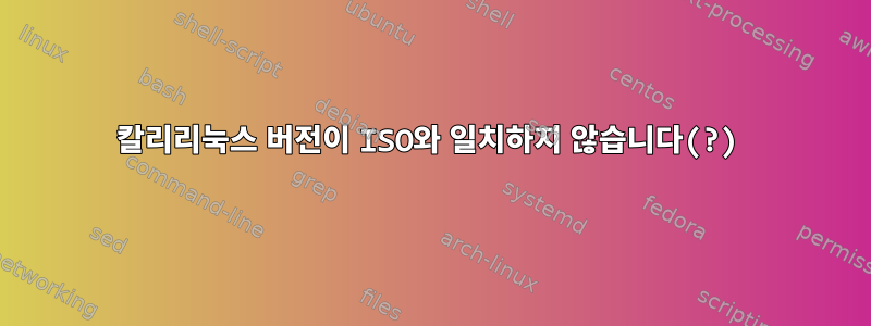 칼리리눅스 버전이 ISO와 일치하지 않습니다(?)