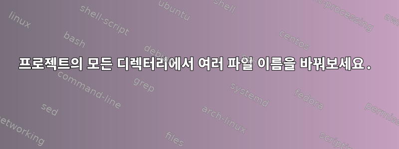 프로젝트의 모든 디렉터리에서 여러 파일 이름을 바꿔보세요.