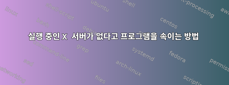 실행 중인 X 서버가 없다고 프로그램을 속이는 방법