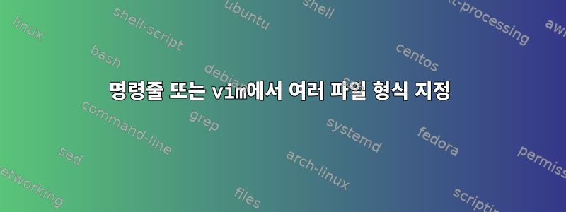 명령줄 또는 vim에서 여러 파일 형식 지정