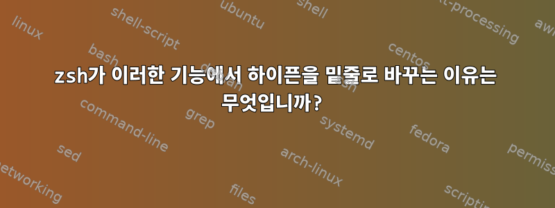 zsh가 이러한 기능에서 하이픈을 밑줄로 바꾸는 이유는 무엇입니까?