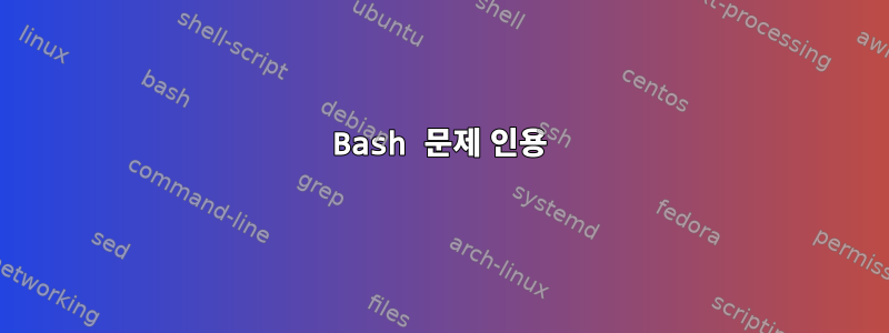 Bash 문제 인용