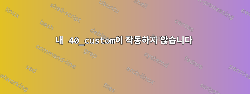 내 40_custom이 작동하지 않습니다