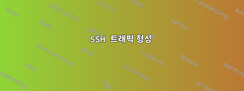 SSH 트래픽 형성