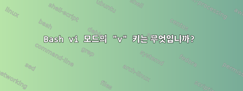 Bash vi 모드의 "v" 키는 무엇입니까?