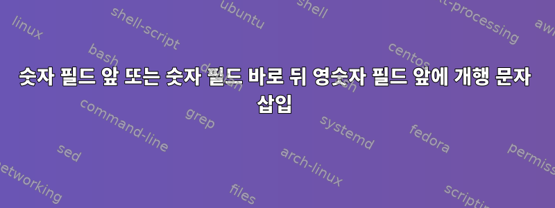 숫자 필드 앞 또는 숫자 필드 바로 뒤 영숫자 필드 앞에 개행 문자 삽입