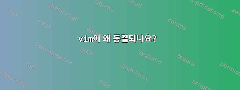 vim이 왜 동결되나요?