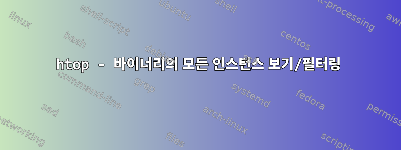 htop - 바이너리의 모든 인스턴스 보기/필터링